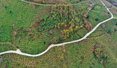 ALTINORDU SORUNLARI ÇÖZÜYOR